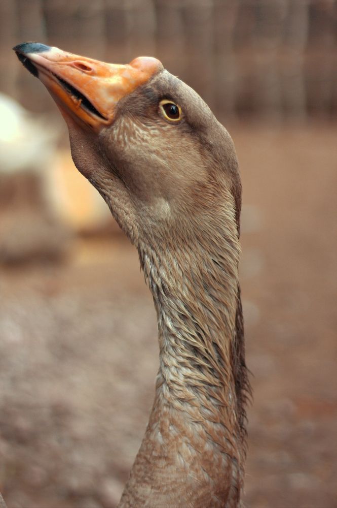 Photograph by Uliyana Moiseenko