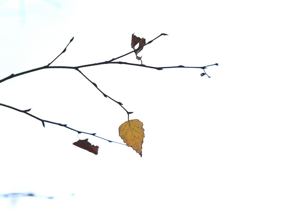 Photograph by Максим Фролов