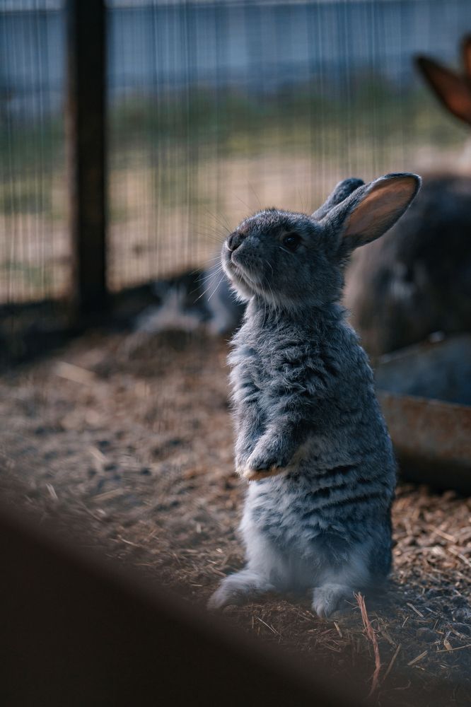 Photograph by Людмила Панюхина