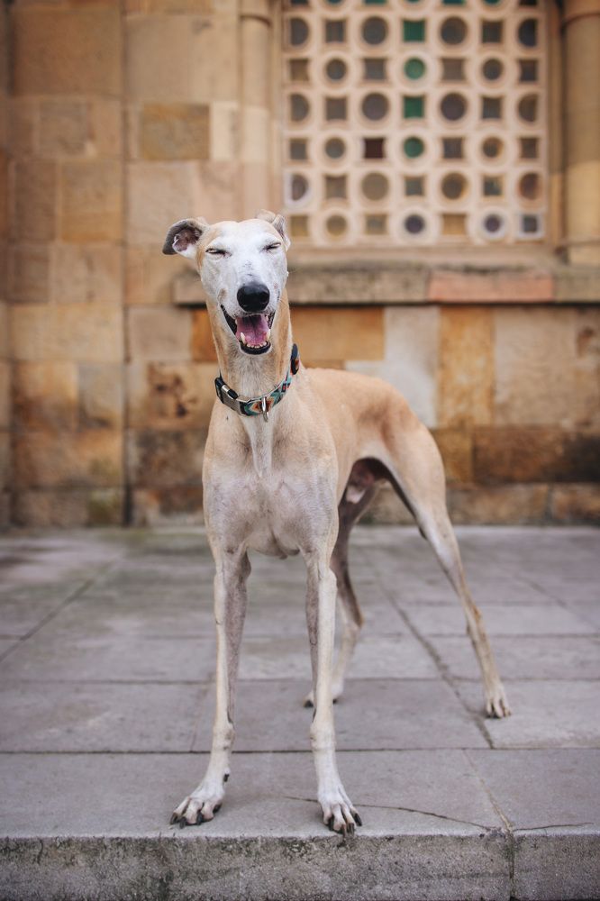 Photograph by Alma González