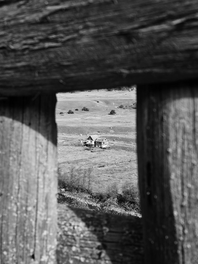 Photograph by Елена Мазуренко