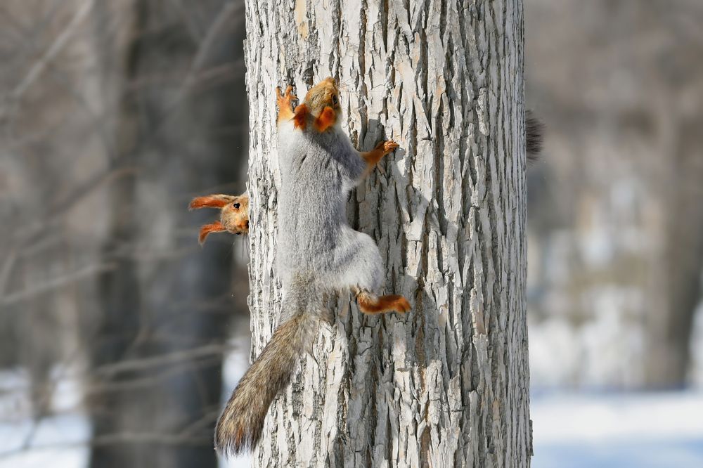 Photograph by Александр Перегудов