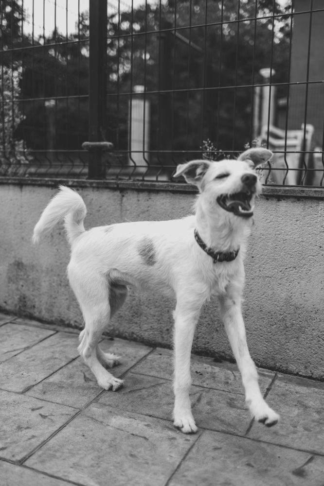 Photograph by Alma González