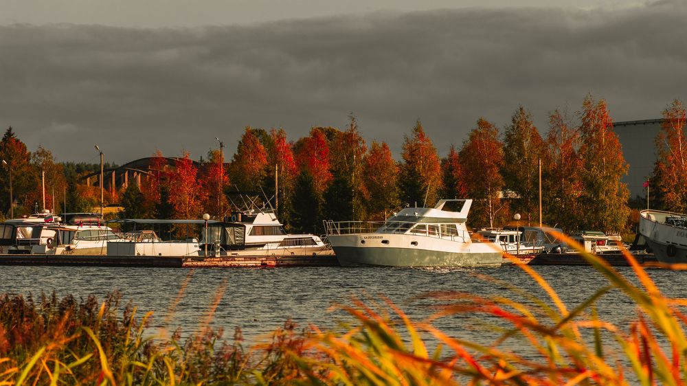 Photograph by Victoria Popkova