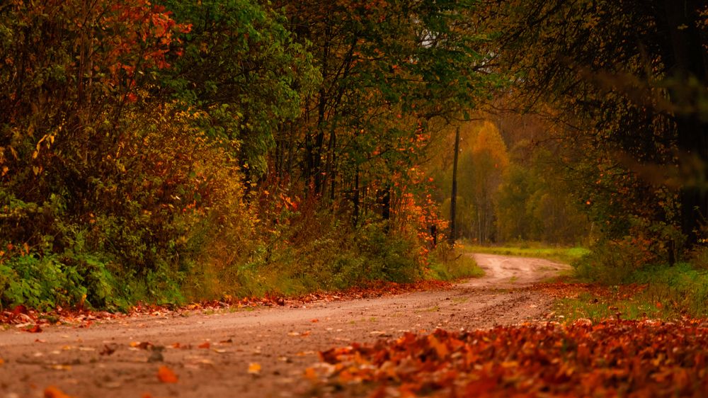 Photograph by Victoria Popkova