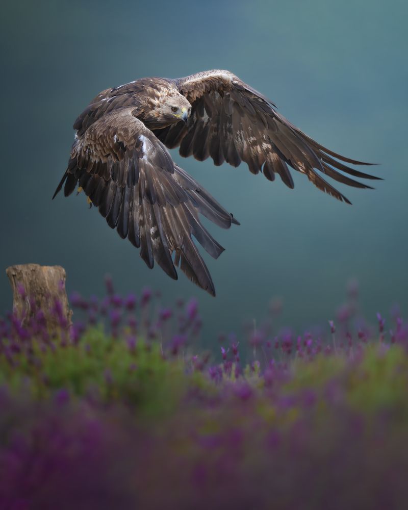 Photograph by Alexandra Surkova