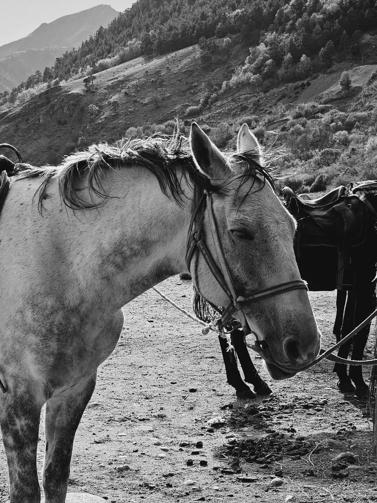 Photograph by Елена Мазуренко