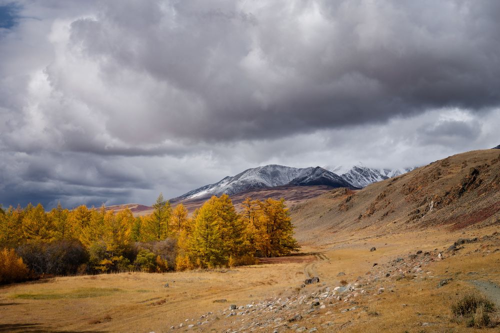 Photograph by Леонтьев Константин