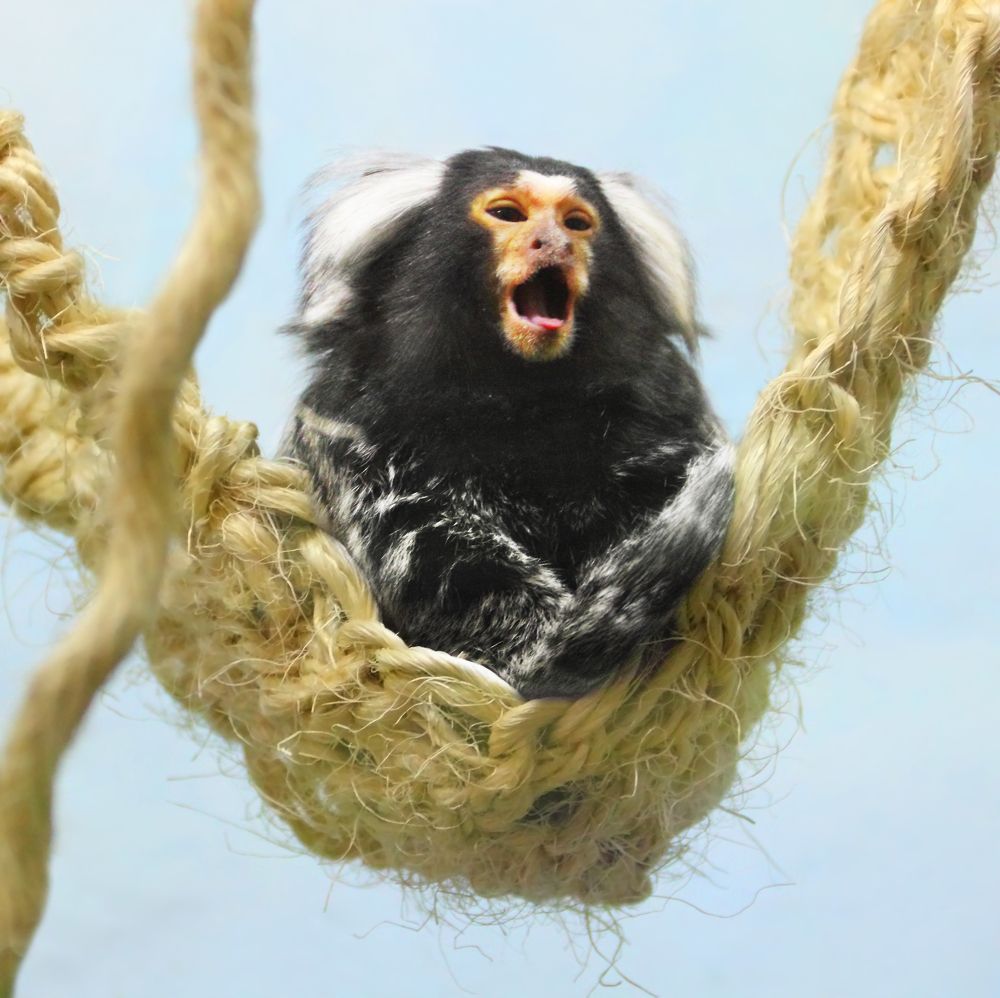 Фотография автора Кухта Мария