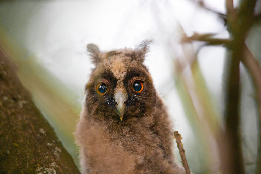 Доброе утро!