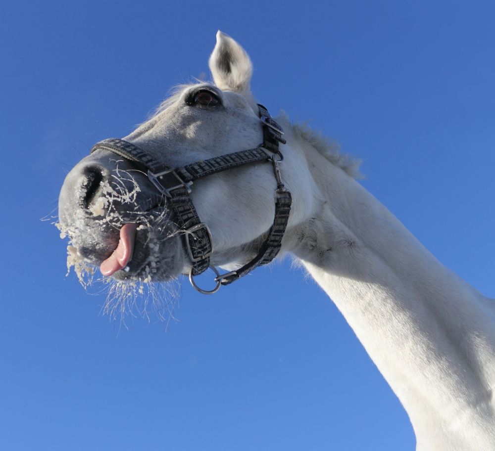 Фотография автора Кухта Мария