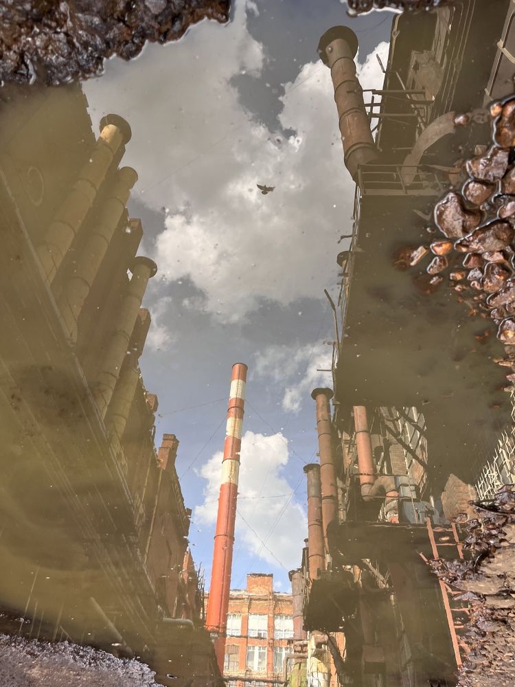 Photograph by Наталья Ермакова