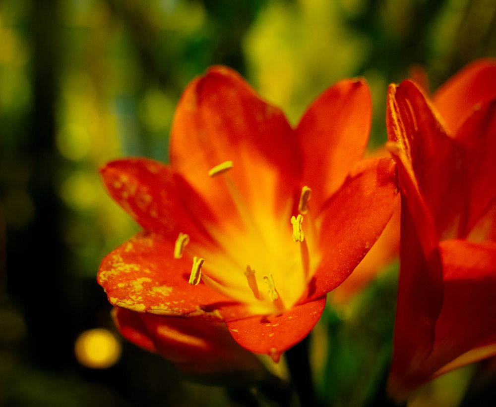 Photograph by Aleksandr Kolonsky