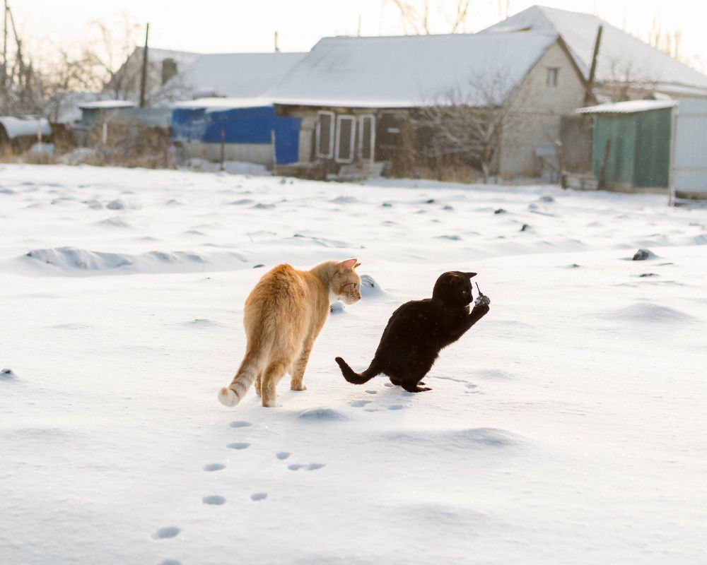 Photograph by Людмила Прибылова