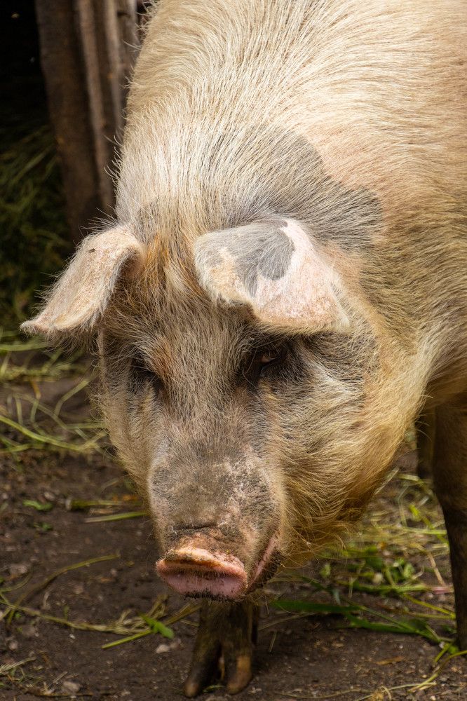 Photograph by Ксения Щукина