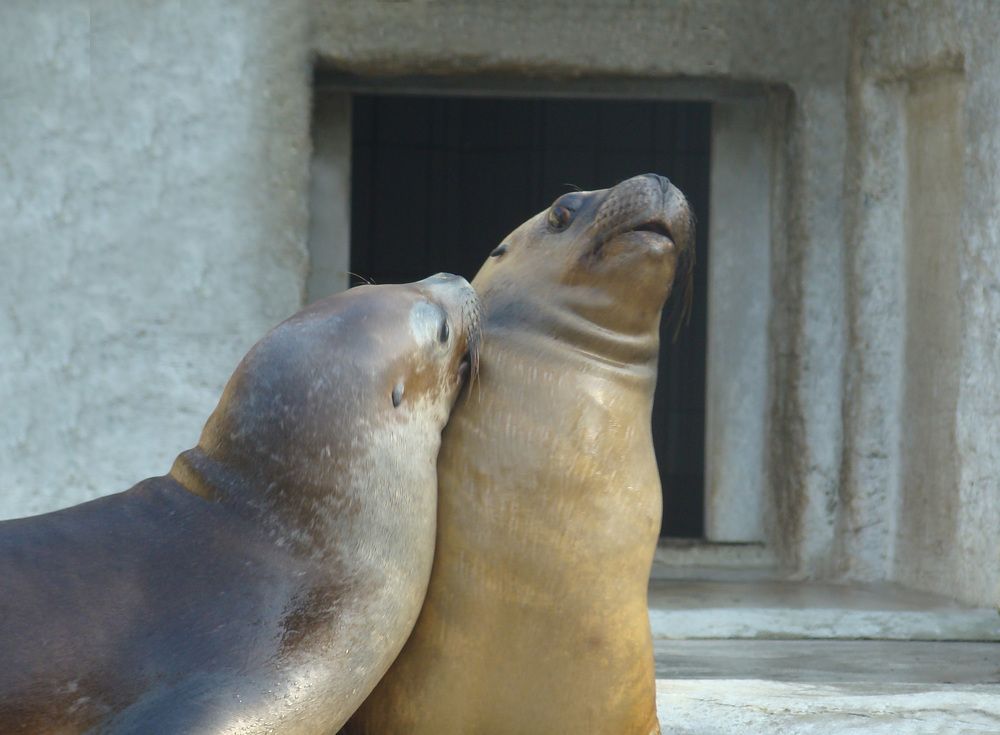 Photograph by Boris Butianov