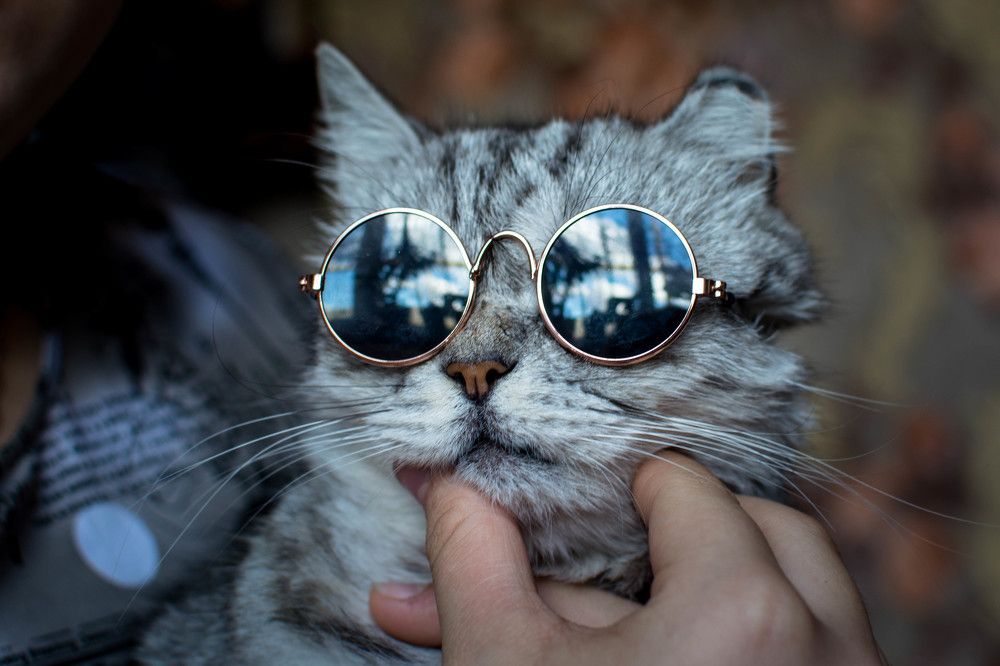 Photograph by Людмила Прибылова