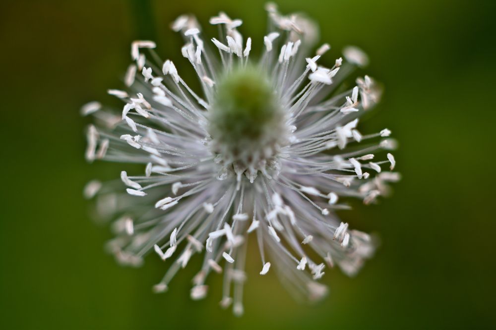 Photograph by Олег Терешкин