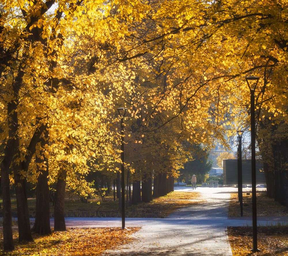 Осенний сквер