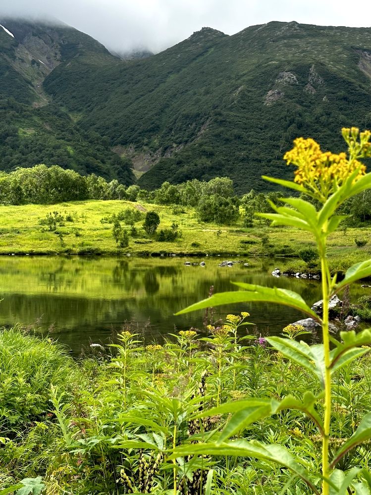 Фотография автора Яврова Татьяна