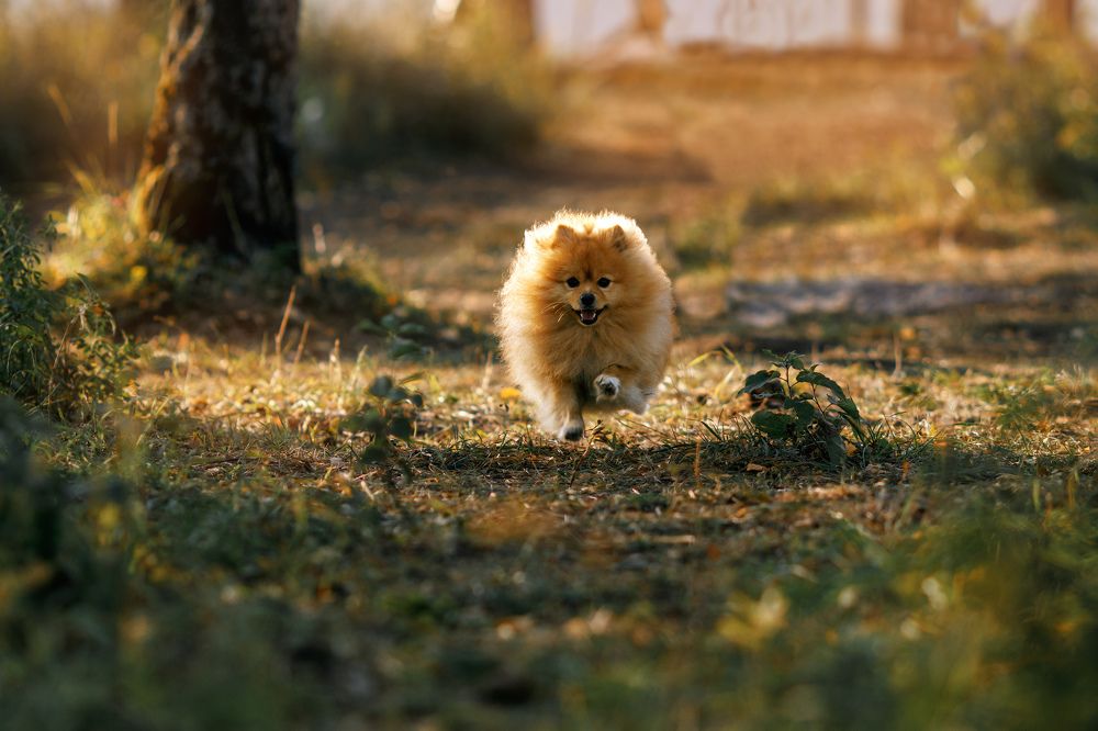 Photograph by Vyacheslav Bolyakin