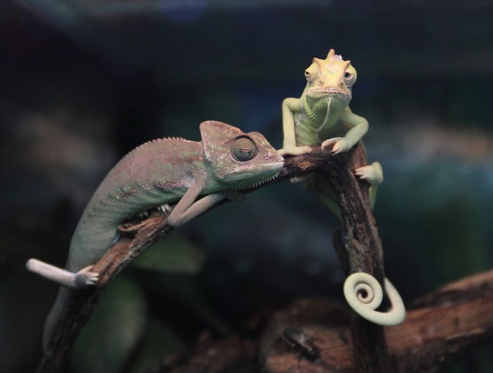 Фотография автора Кухта Мария