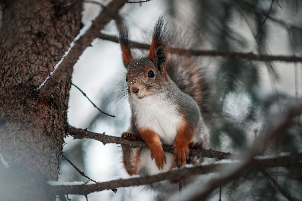 Photograph by Vyacheslav Bolyakin