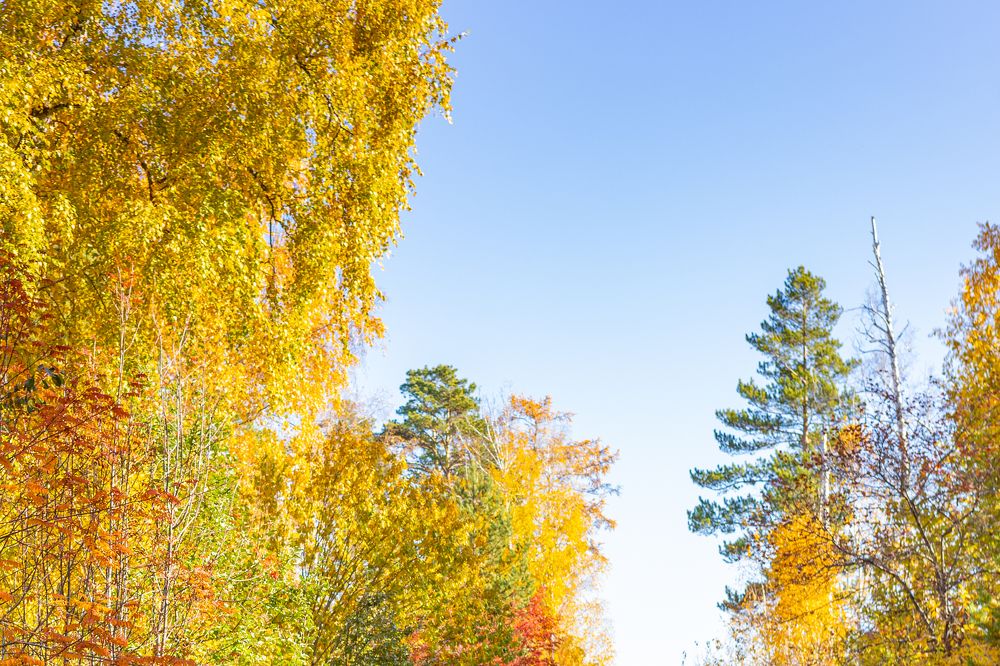 Photograph by Князев Сергей