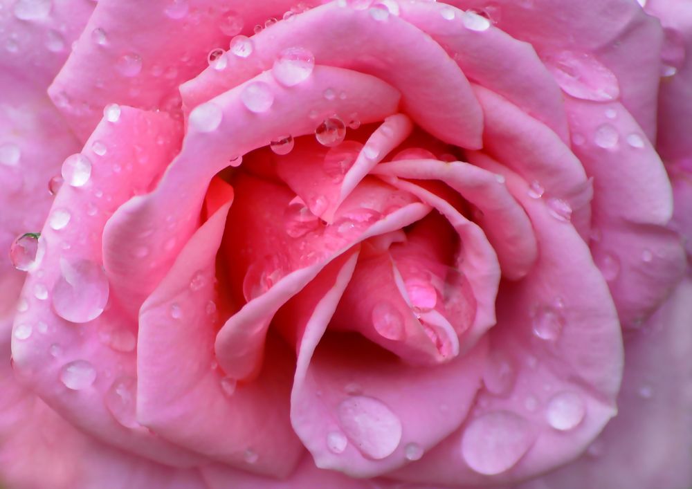 Photograph by Светлана Муравьева