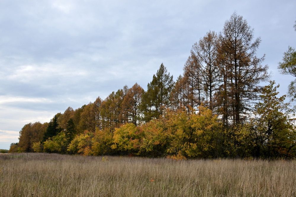 Photograph by Николай Соколовский