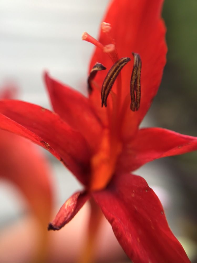 Photograph by Наталья Ермакова