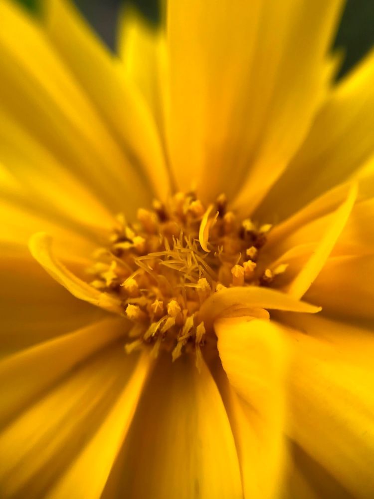 Photograph by Наталья Ермакова