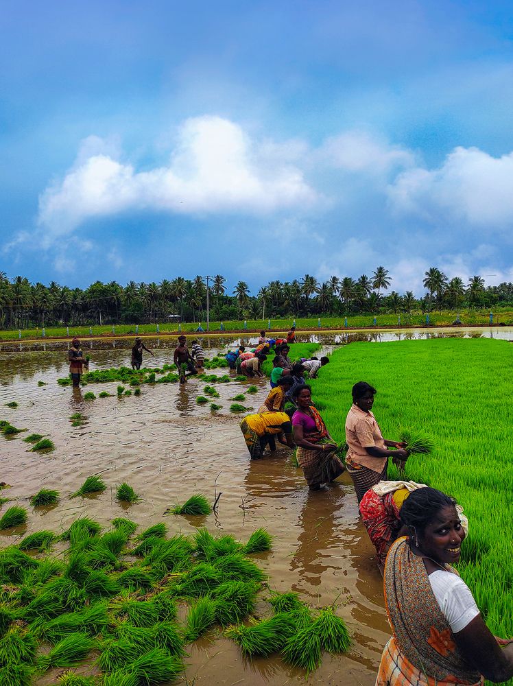 Фотография автора Revanth suresh