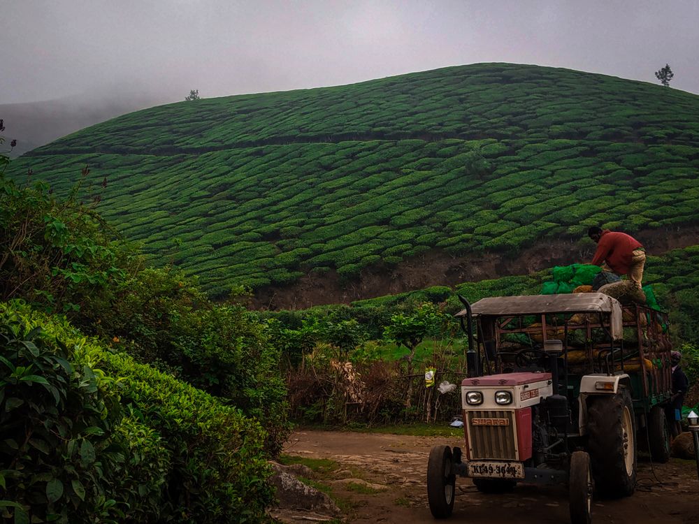 Фотография автора Revanth suresh