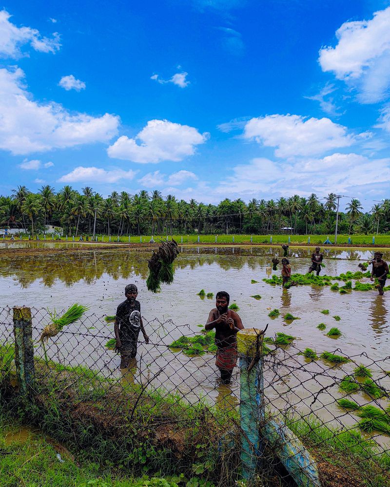 Фотография автора Revanth suresh