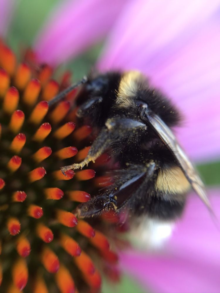 Photograph by Наталья Ермакова