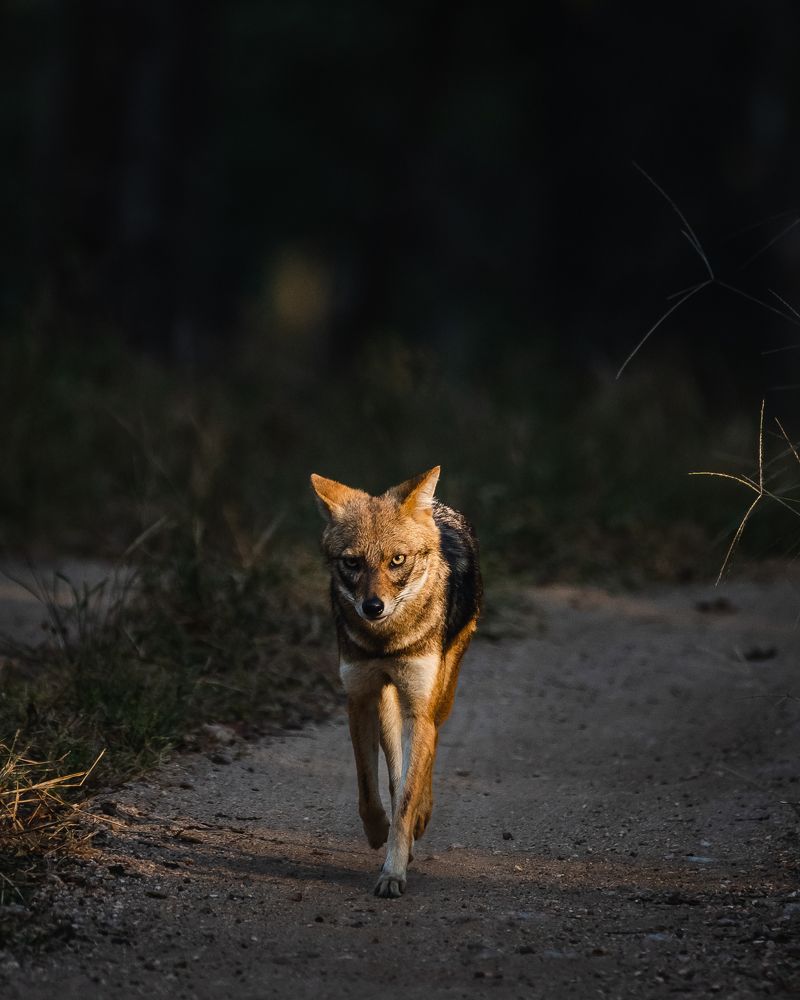 Photograph by Madhu Mohan C