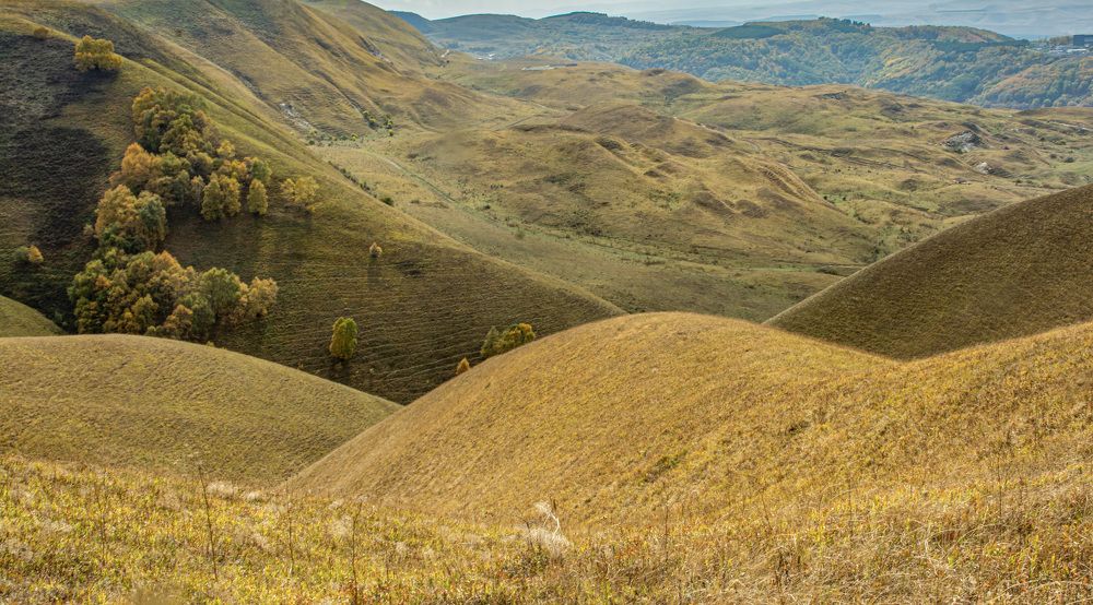 Photograph by Савчук Сергей