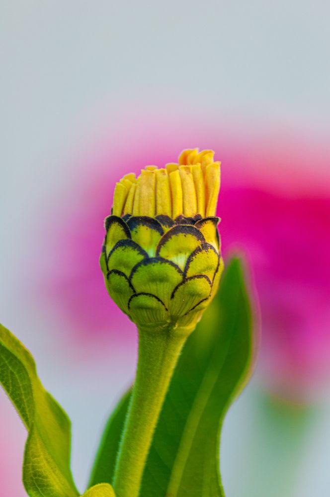 Photograph by Денис Кичев