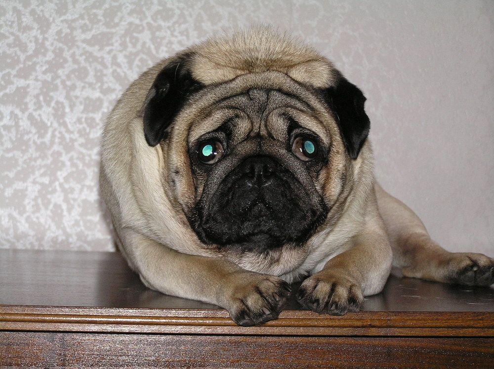 Photo #9669664