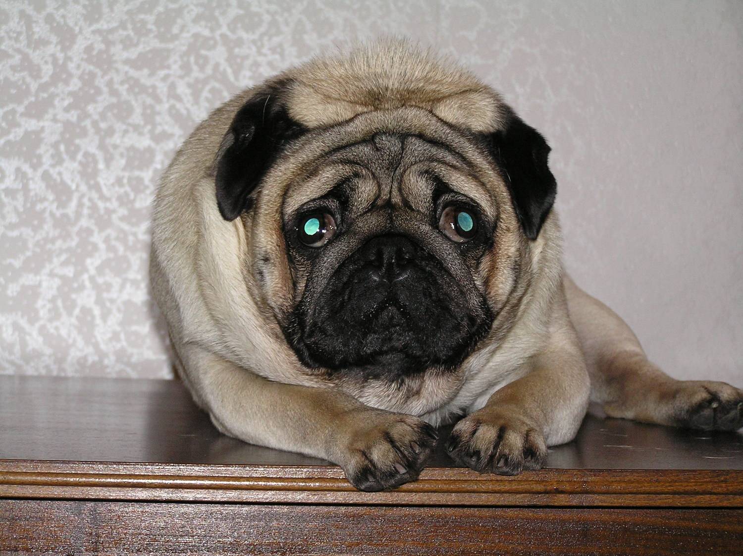 Photo #9669664