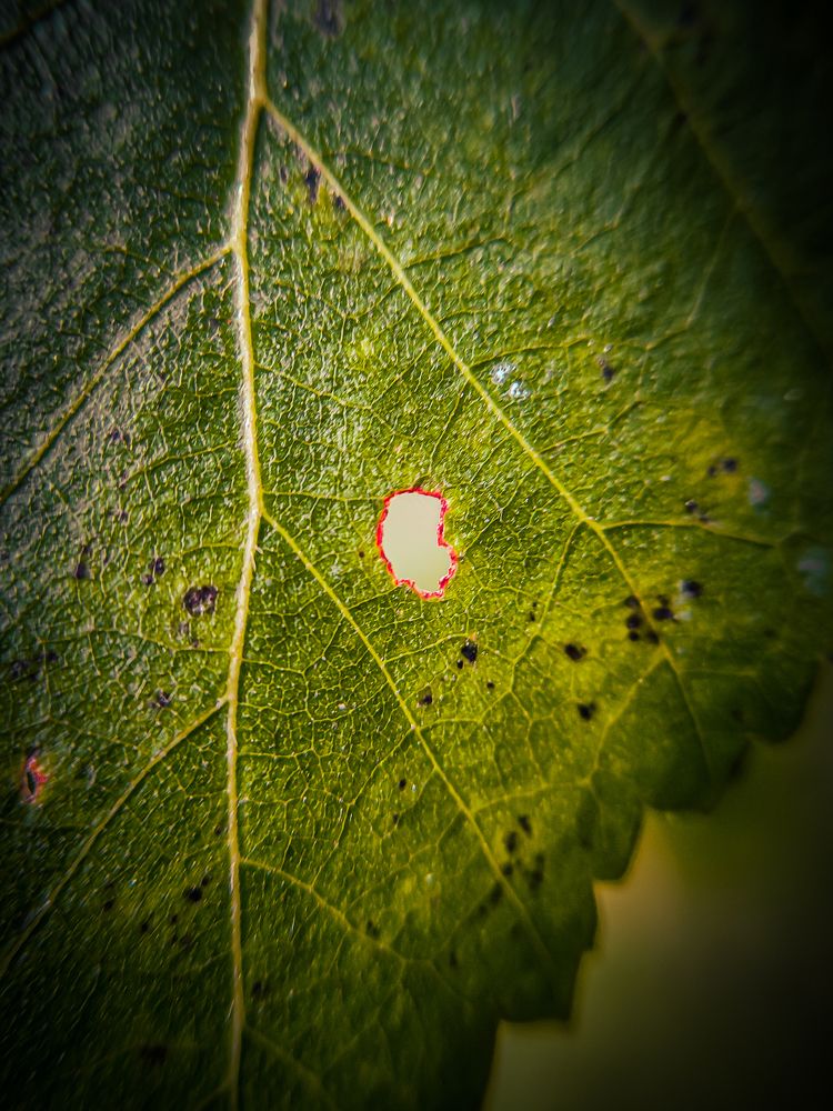 Фотография автора Александр Хухлов