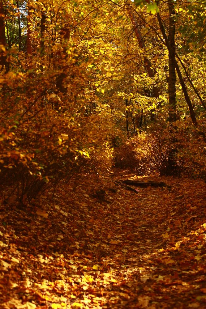 Photograph by Milla Luca