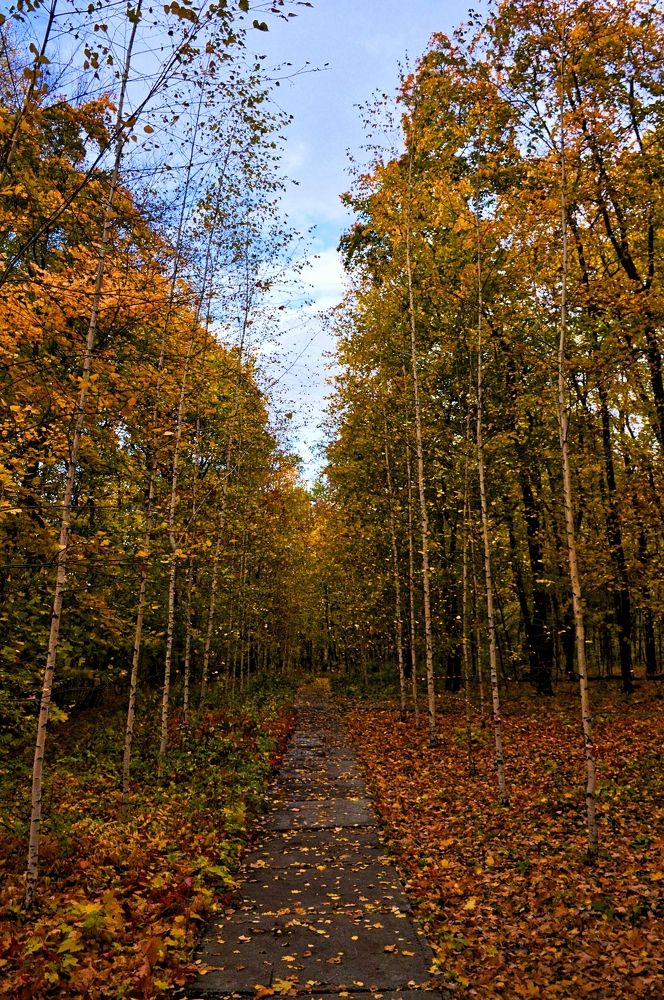 Photograph by Дмитрий Богатырёв