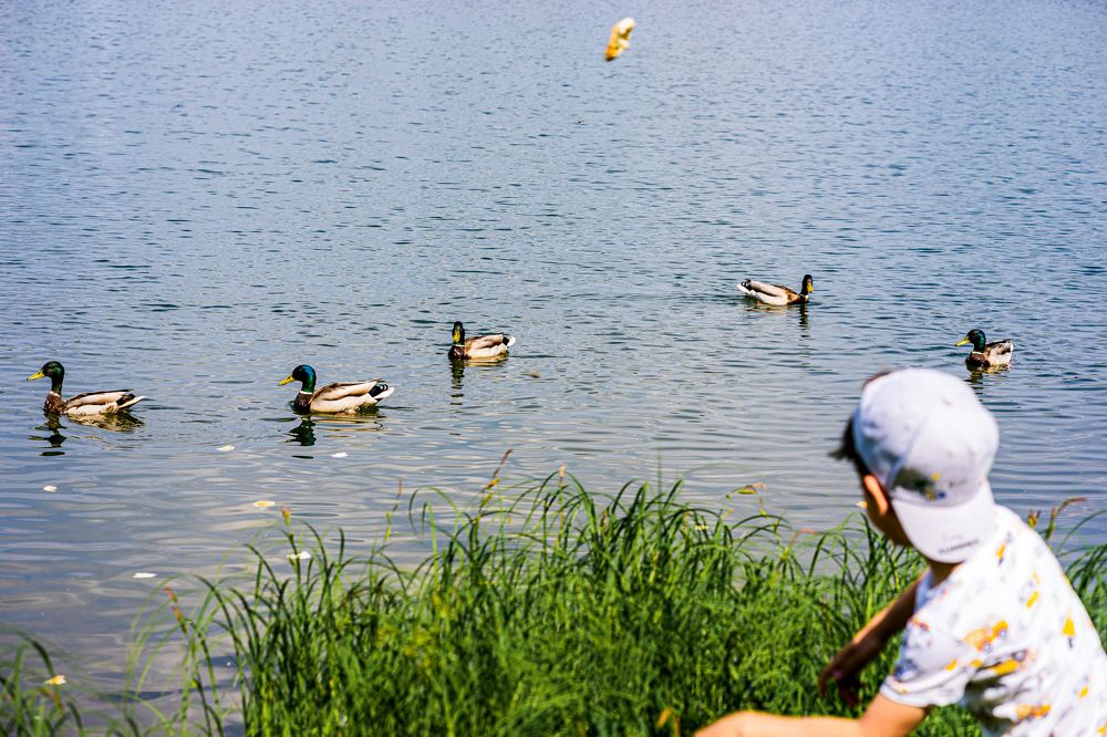 Photograph by Артём Александрович