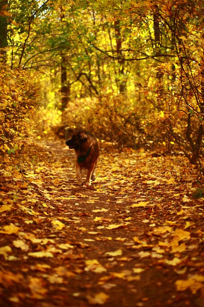 Photograph by Milla Luca