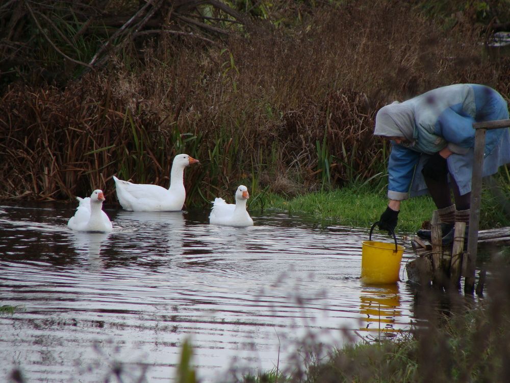 Photograph by Николай Худяков