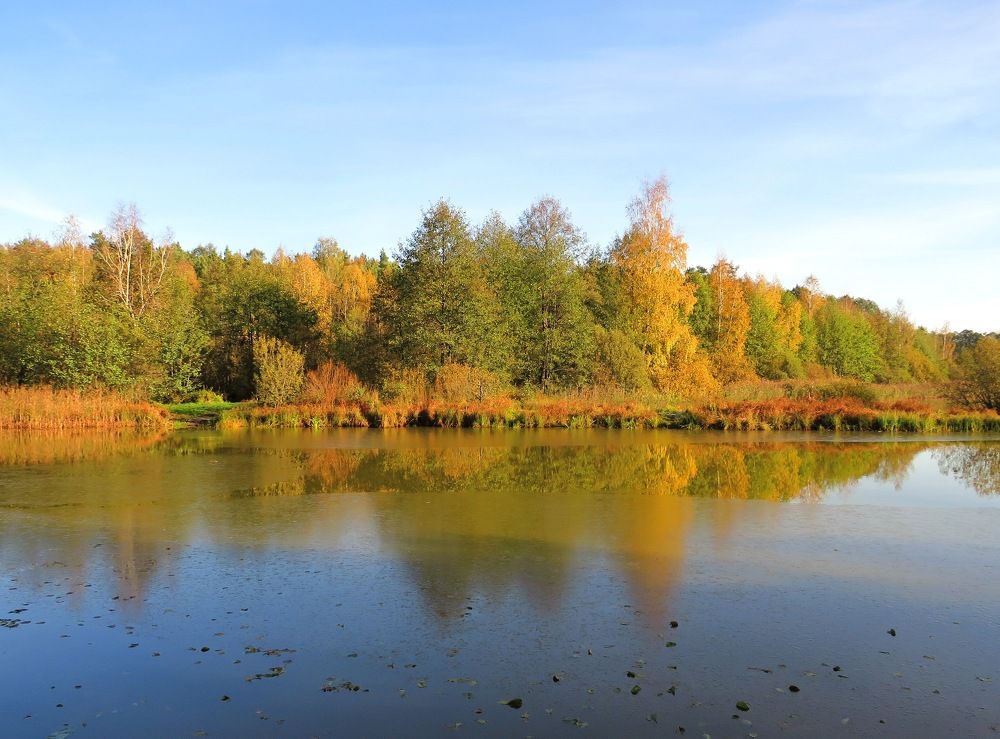 Первый лёд на озере