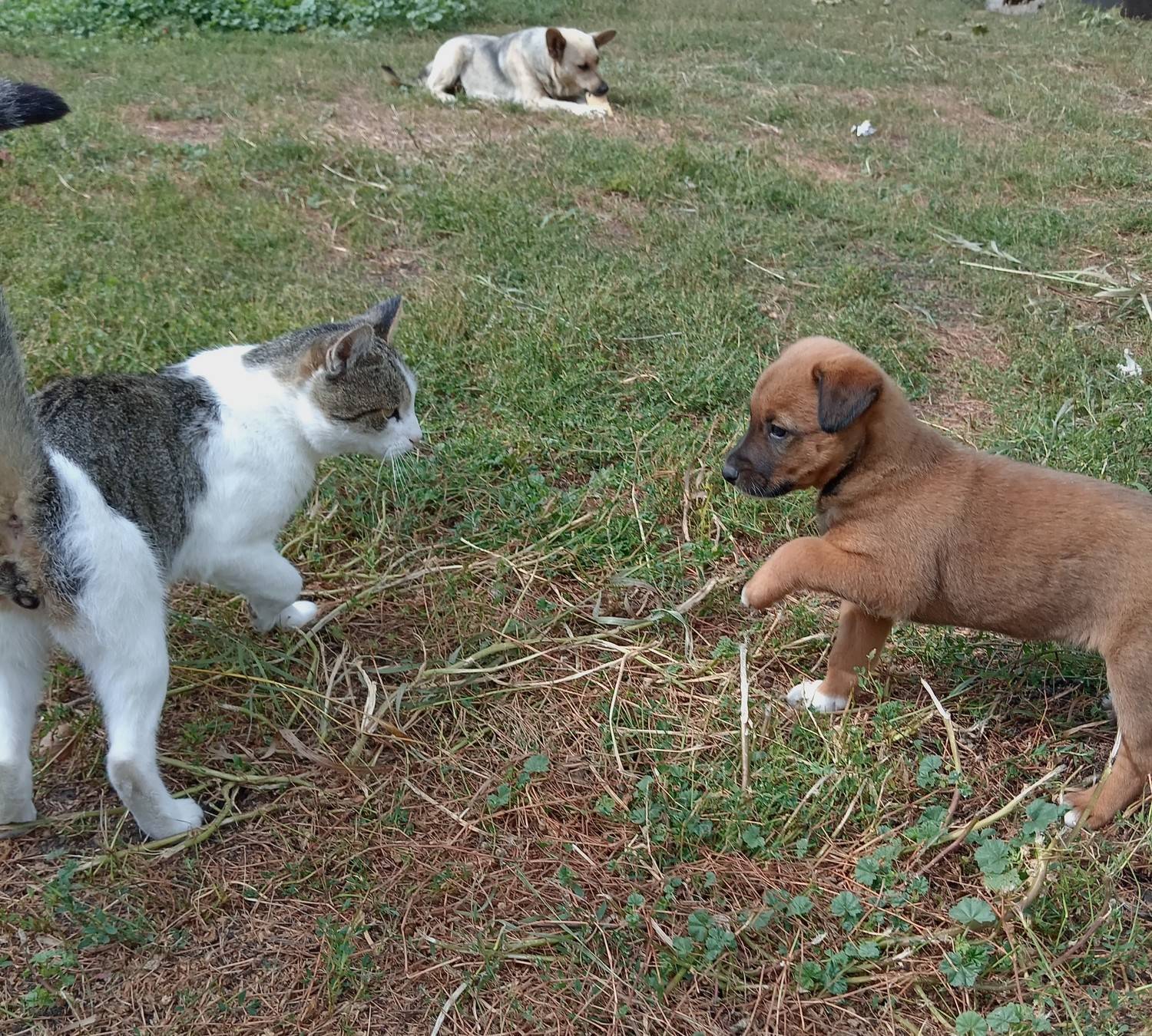 Photo #9669748