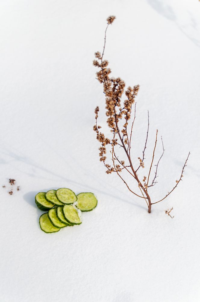 Photograph by Денис Кичев